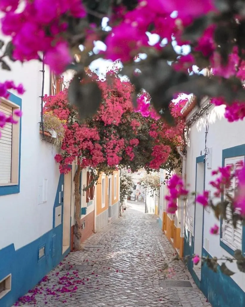 Beautiful Townhouse In Downtown Ferragudo Villa Ferragudo  Portugal